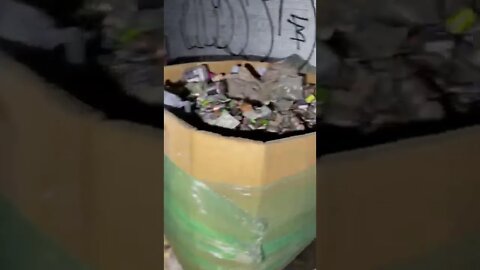 Batteries in an abandoned Chicago Factory