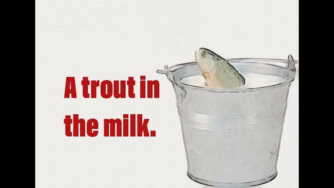 A Trout in the Milk