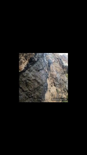 HorseTooth Mt - Psalms 13