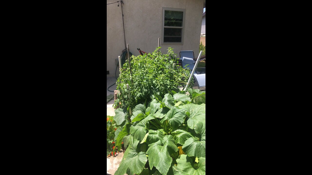 First Green Produce of the Year