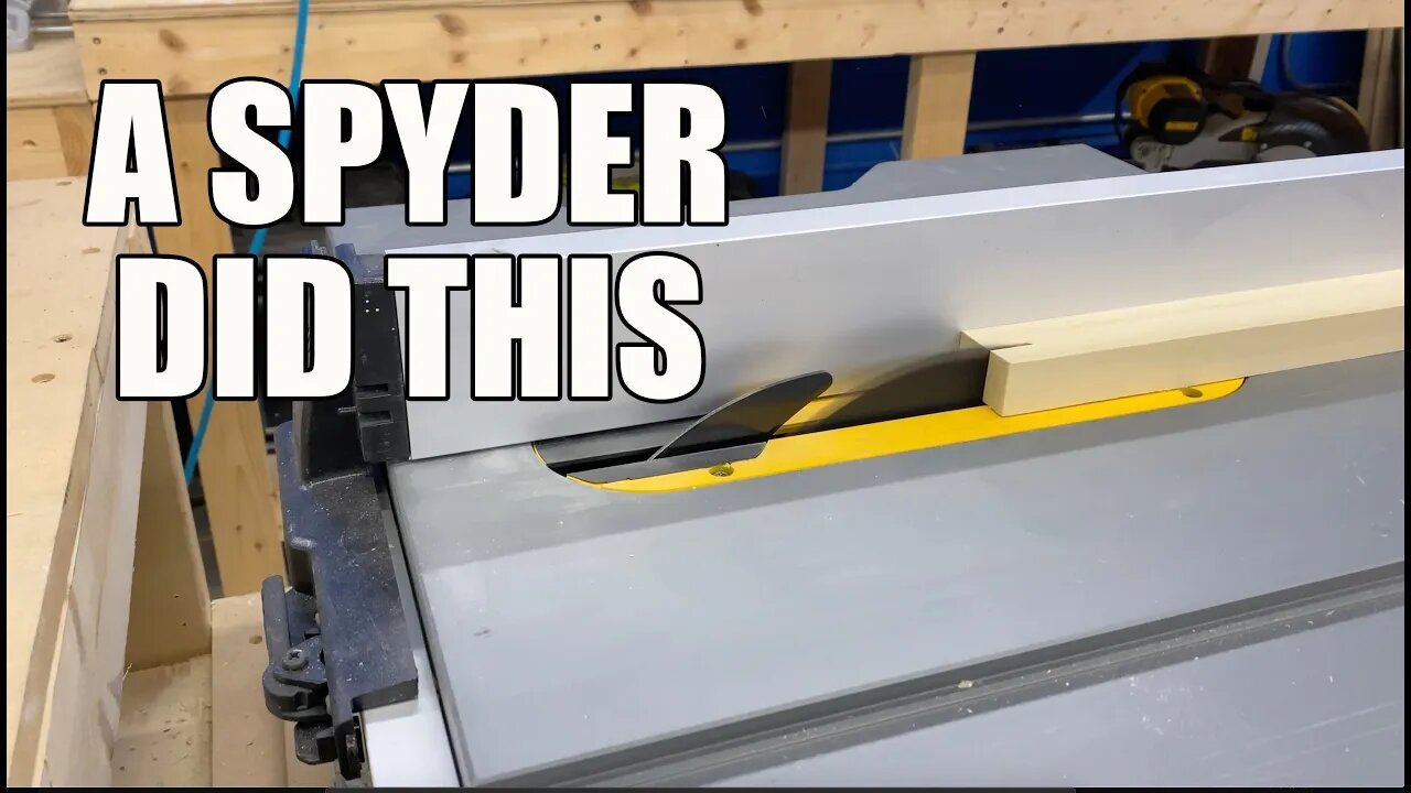 SPYDER BLADES - Do they make the cut?