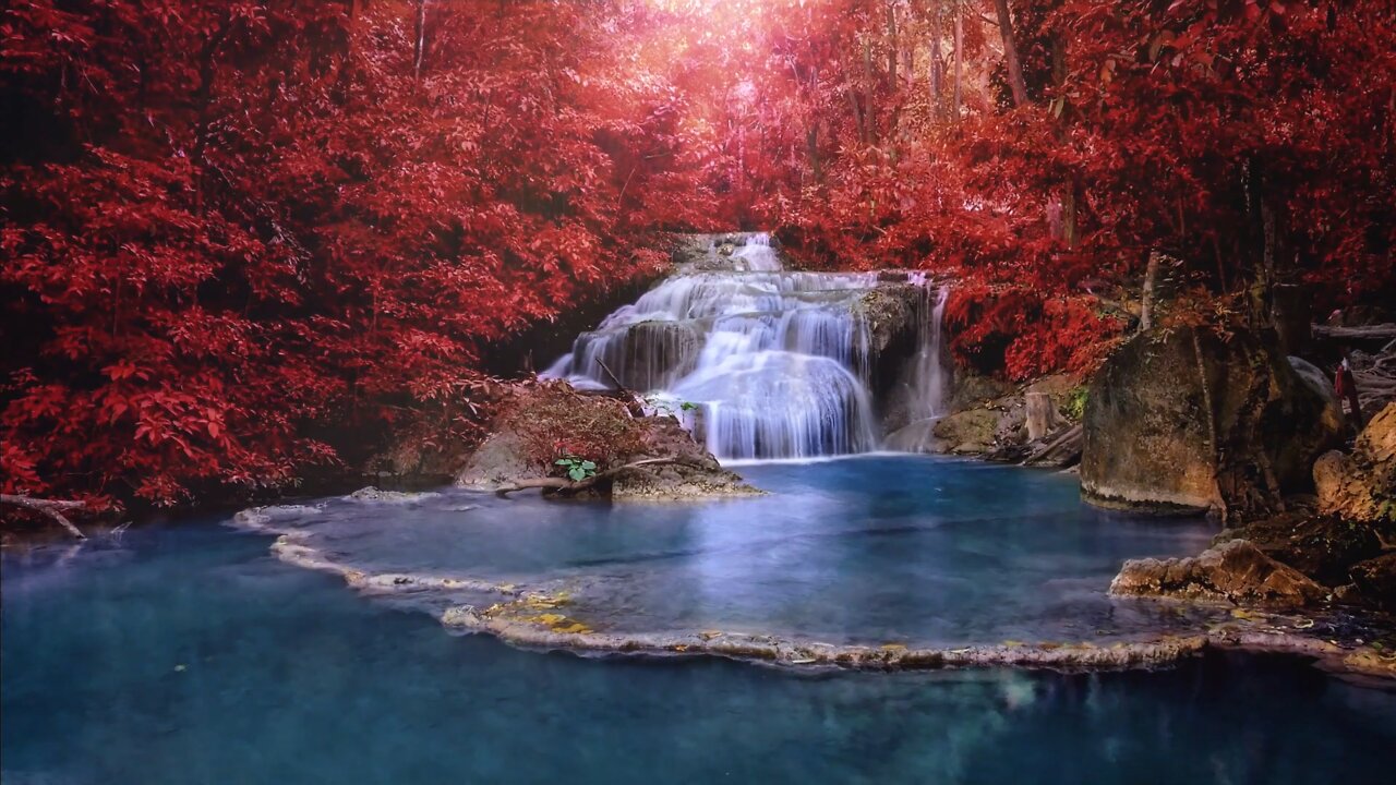 Relaxing Waterfall. Red forest trees.