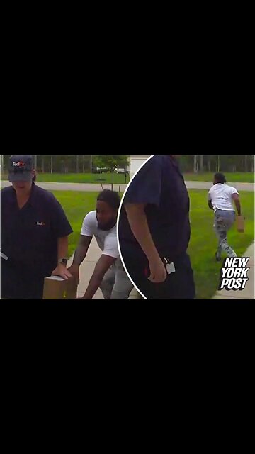 Thief Steals FedEx Package from Delivery Driver's Hands