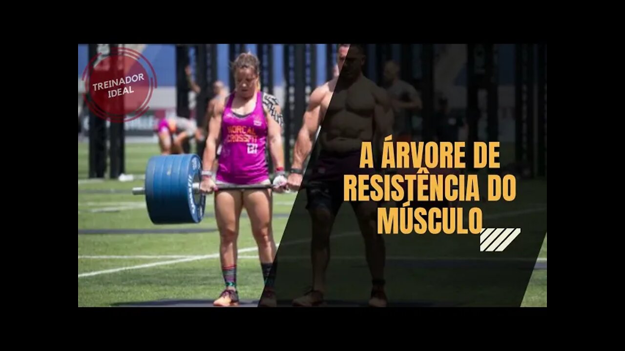 Princípios da programação e periodização para crossfit