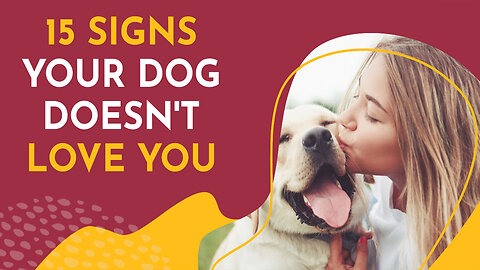 15 Signs Your Beloved Dog Might Not Love You (Even if You Think They Do)