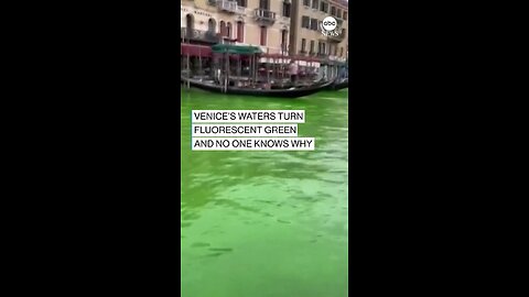 IT'S NOT EASY BEING GREEN: Water in the main canal of the Italian city of Venice