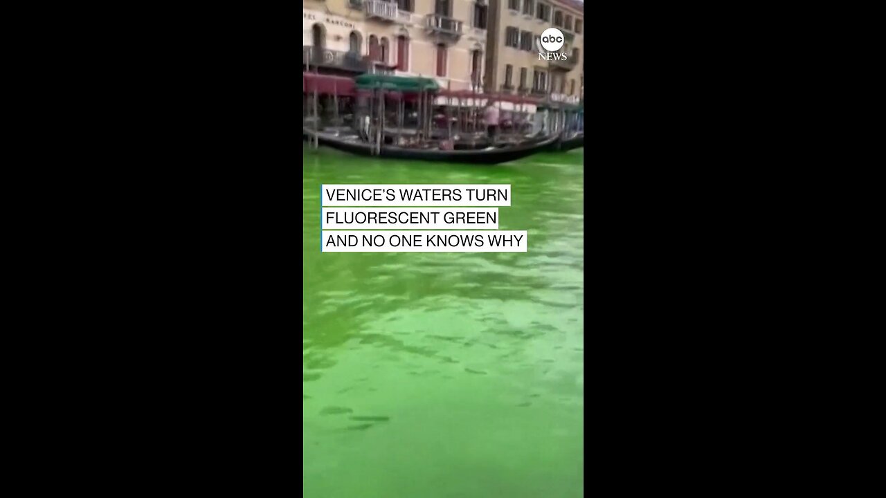 IT'S NOT EASY BEING GREEN: Water in the main canal of the Italian city of Venice