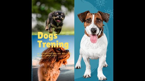 Dogs Trening। Best dog trening।