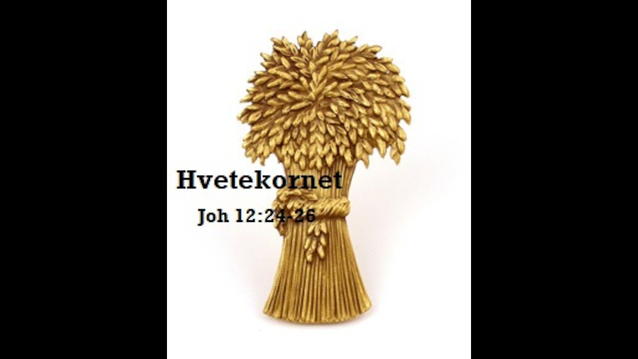 Varhaug 2020: 1. Hvetekornet