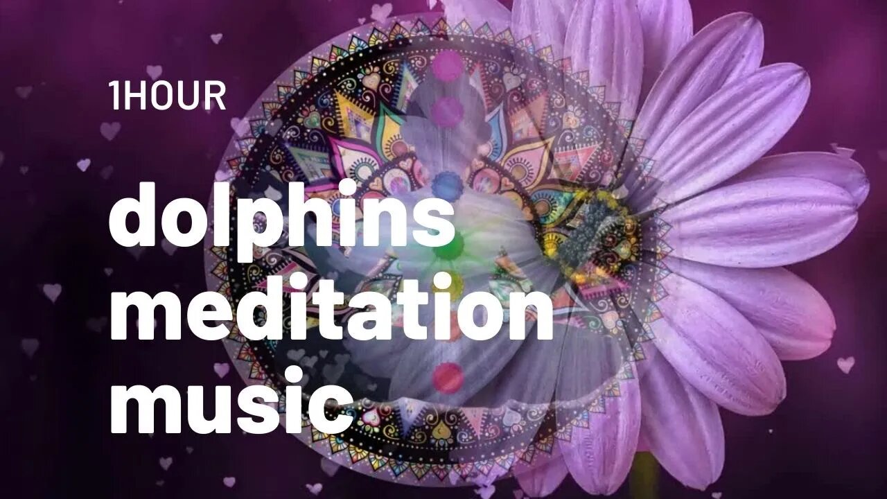 #dolphins meditation music #soothing relaxation