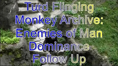 2. Turd Flinging Monkey Enemies of Man Dominance Follow Up (Mirror)