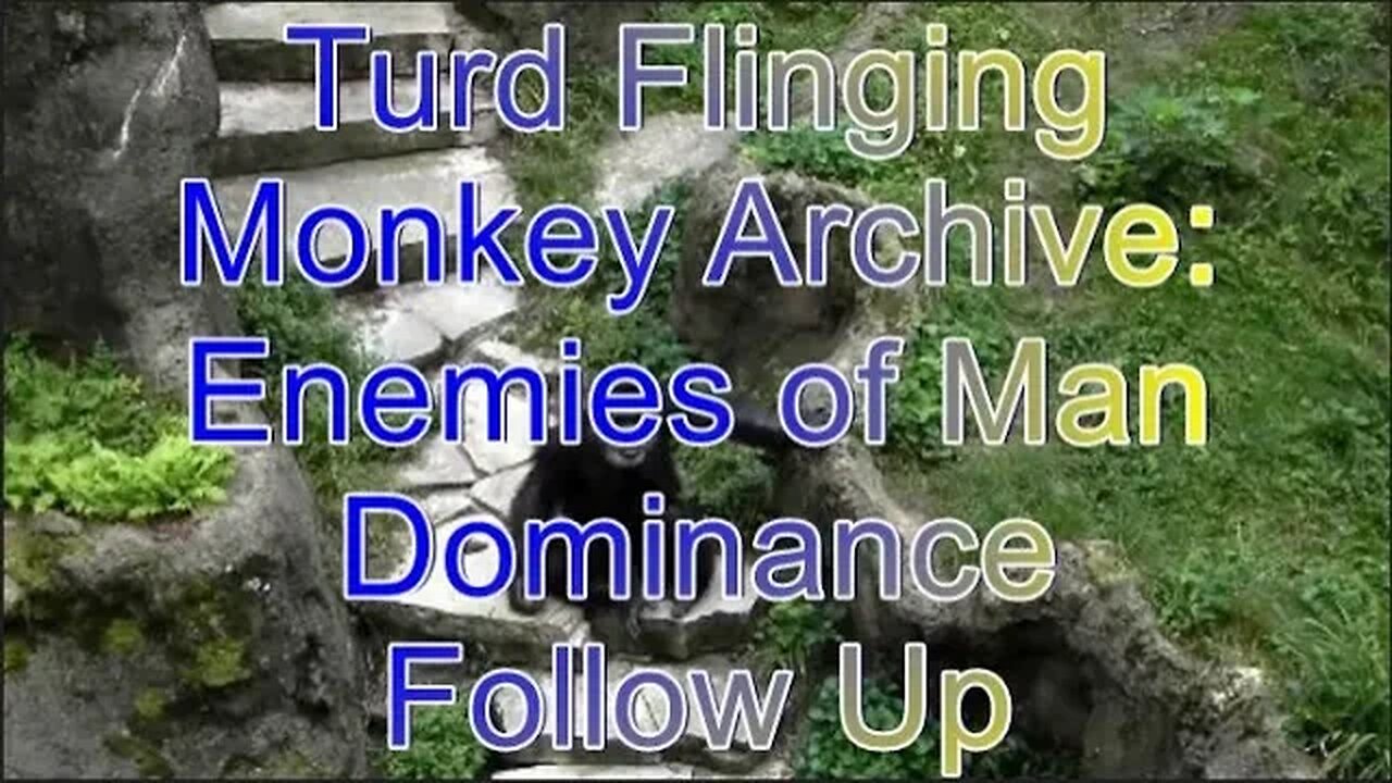 2. Turd Flinging Monkey Enemies of Man Dominance Follow Up (Mirror)