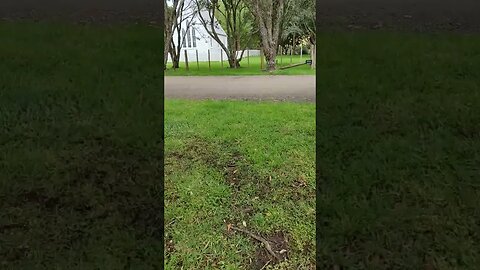 All alone at Man O War Bay.