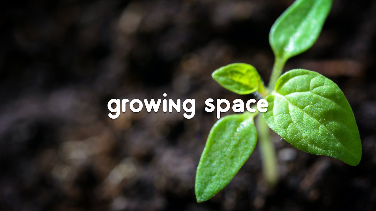 calming music ║ relax with me - growing space