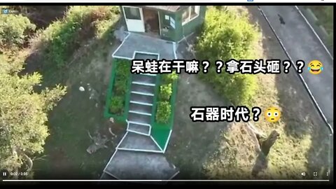 🟨 返璞歸真的防空系統 🟨