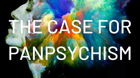 The Case for Panpsychism w/ Dr. Jim Madden