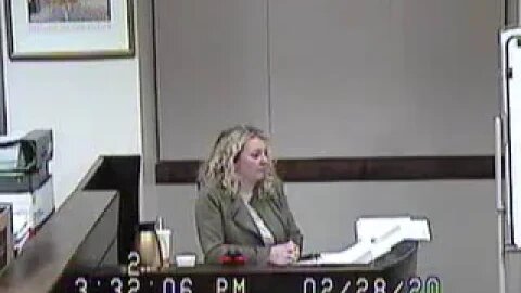 Norcutt matter before Clark County Family Court Judge Cheryl Moss 2.28.20 7-9