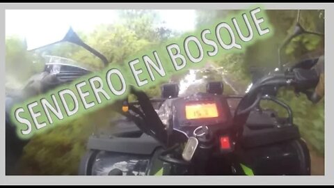 ATV 250cc ITALIKA- ATV 250 Sendero en Bosque