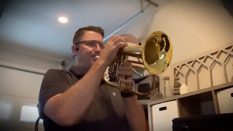 Fools Rush In - Flugelhorn (not a trumpet 😂)