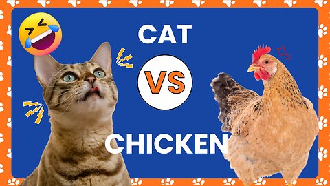 Cat vs Chicken Watch What Happens Next and Get Ready to Laugh in 2023