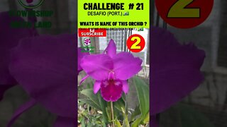 CHALLENGE # 21 |WHATS IS NAME OF THIS ORCHIDS?|YOU WANT TO LEARN? |# SHORT