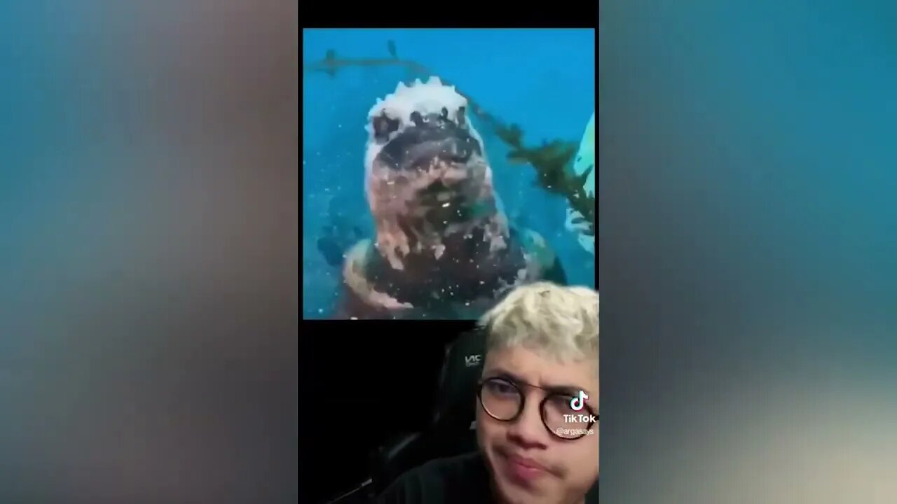 Daisy Daisy creepy TikTok trend PART 265