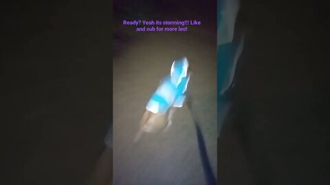 Leo says there is a storm coming let's go!