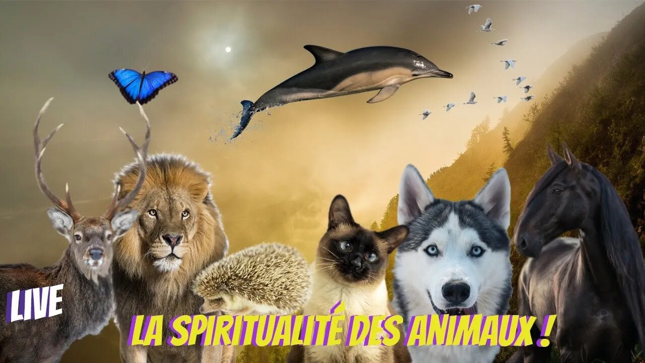 La spiritualité des animaux !