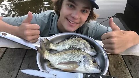 MONSTER Bream - Catch n Cook