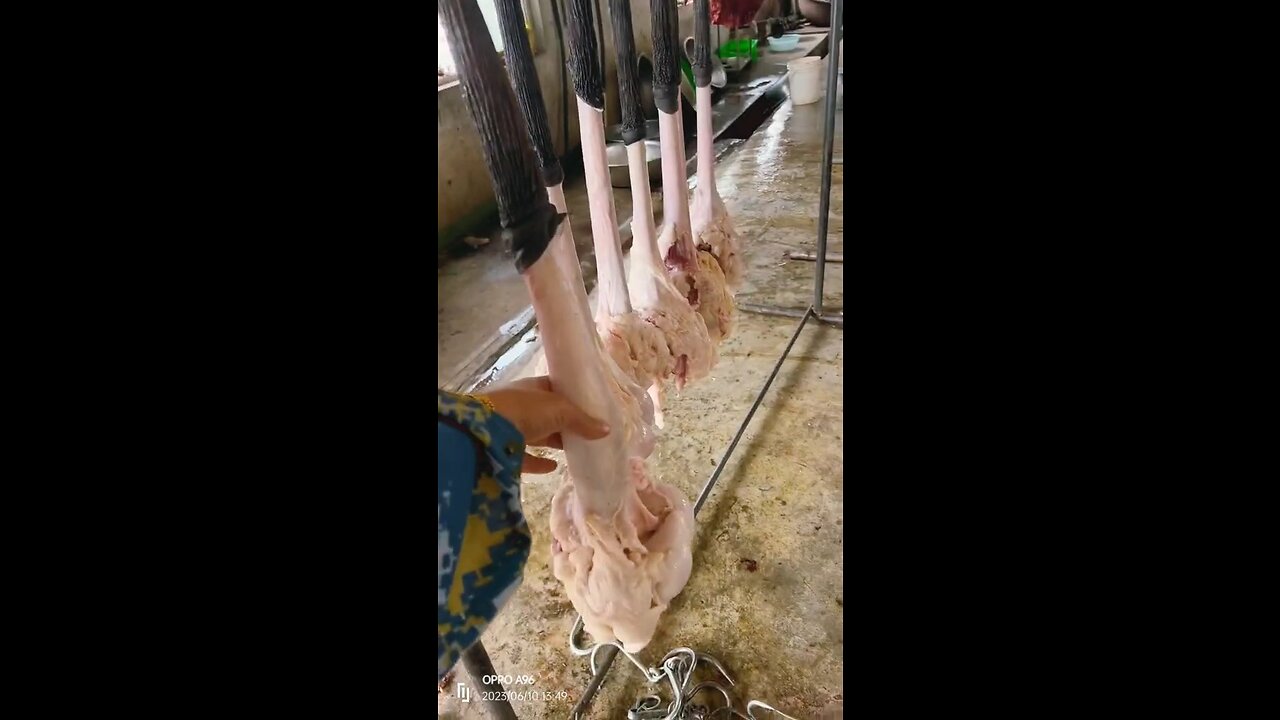 What's this you think you know