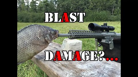 Can the blast from a rifle kill you?...