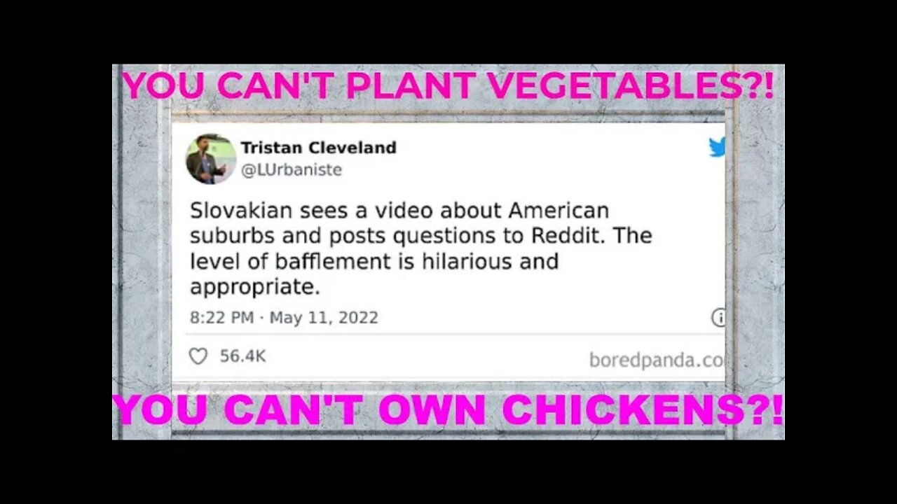 European shocked at why American suburbs are so authoritative