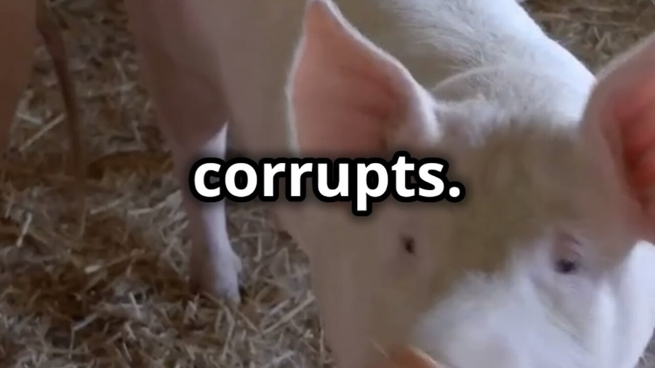 Animal Farm, Chapter 5: Power Struggle on the Farm