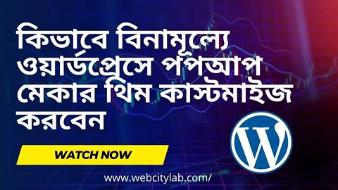 কিভাবে বিনামূল্যে ওয়ার্ডপ্রেসে পপআপ মেকার থিম কাস্টমাইজ করবেন | Customize popup maker theme - Part2