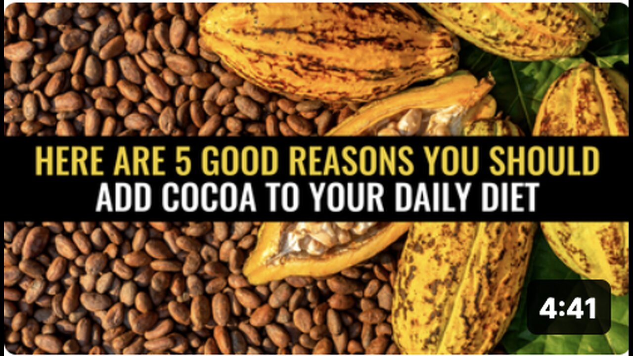 Here are 5 good reasons you should add cocoa to your daily diet