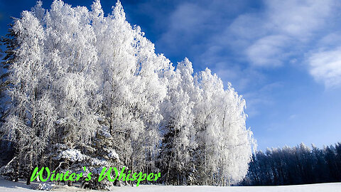 Winter's Whisper: A Musical Journey Through Enchanting Snowscapes ❄️