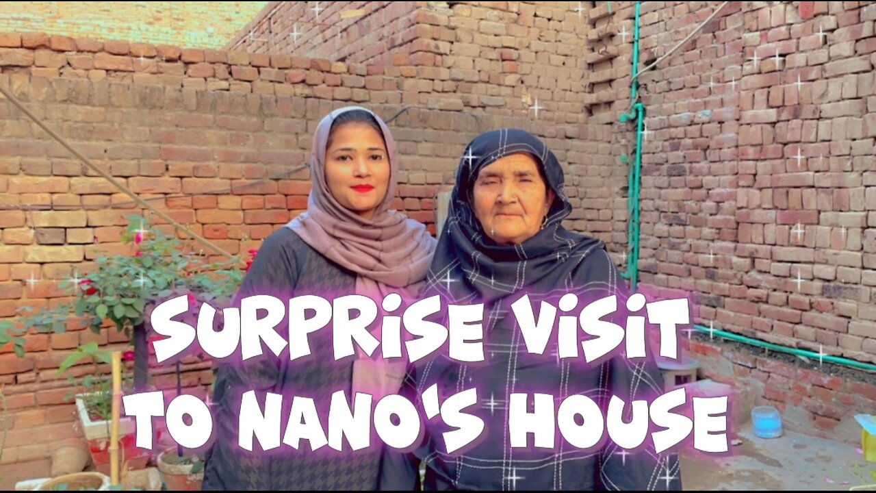 Nano Jan ko Dea Surprise|Visit To Village ☺️