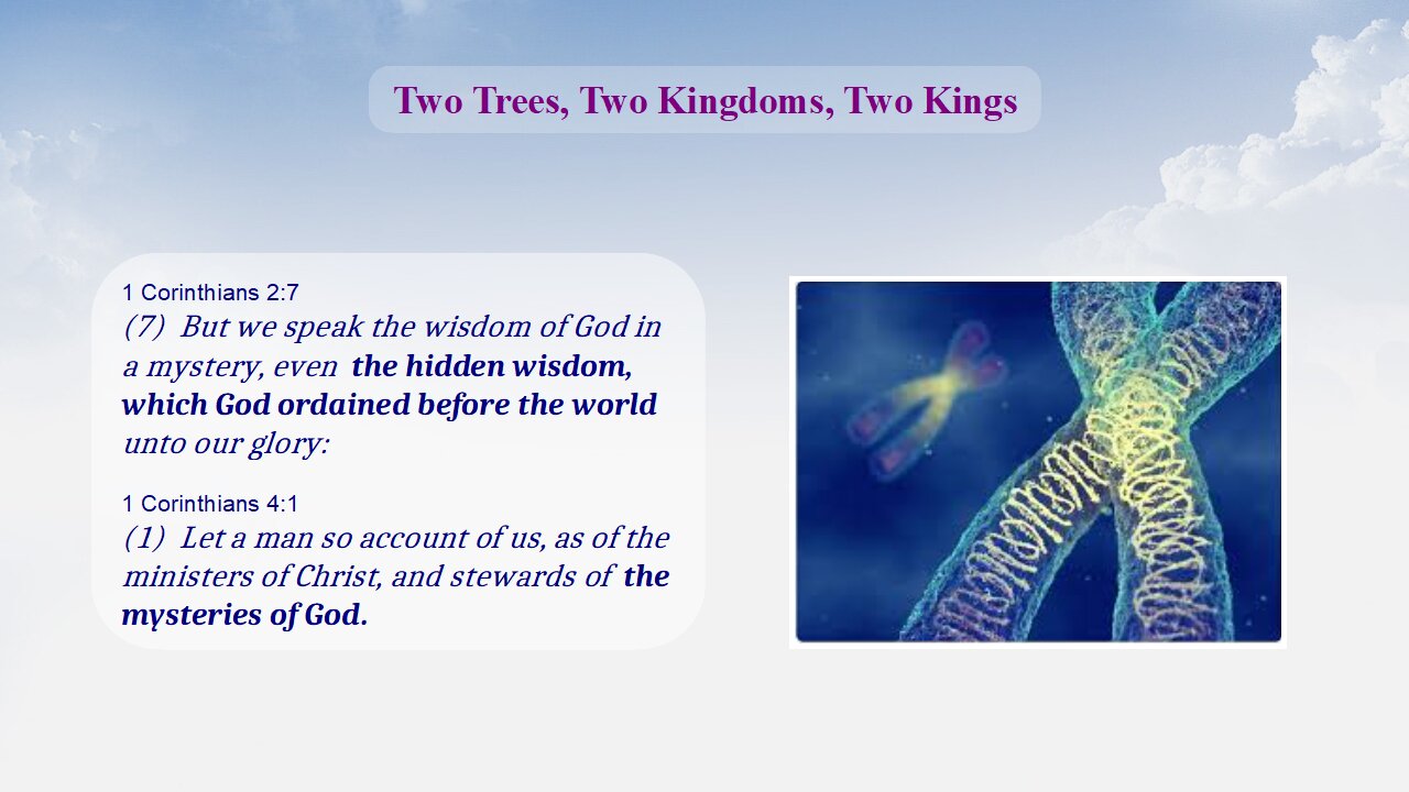 Two Trees, Two Kingdoms, Two Kings - Levels of Interpretation, part 6