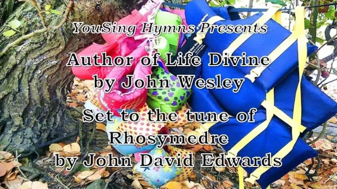 Author of Life Divine (Rhosymedre)