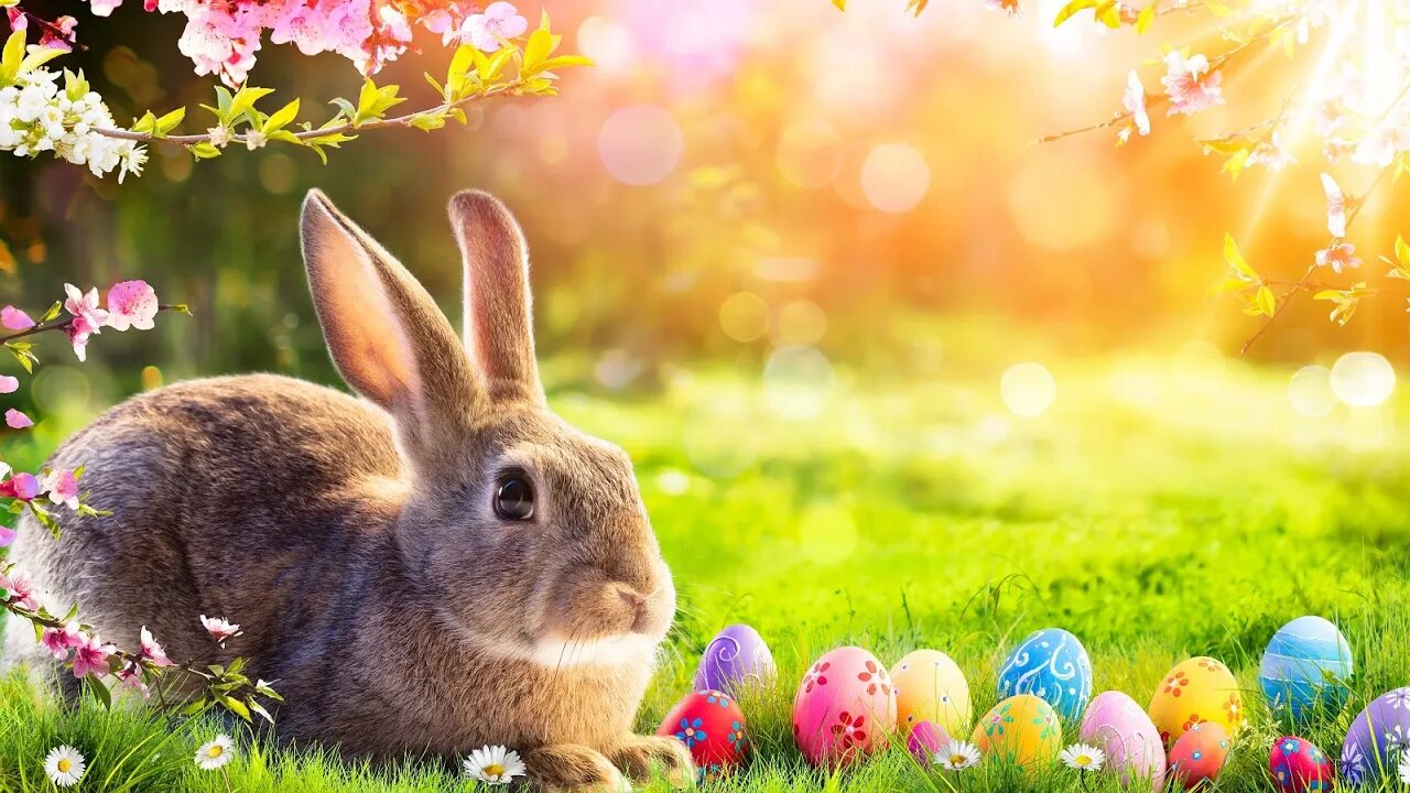 Relaxing Easter Music – Easter Bunny