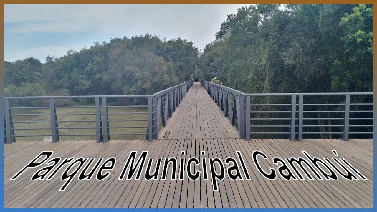 A VEGETAÇÃO AQUI ... É REPLETA DE CAMBUÍ!
