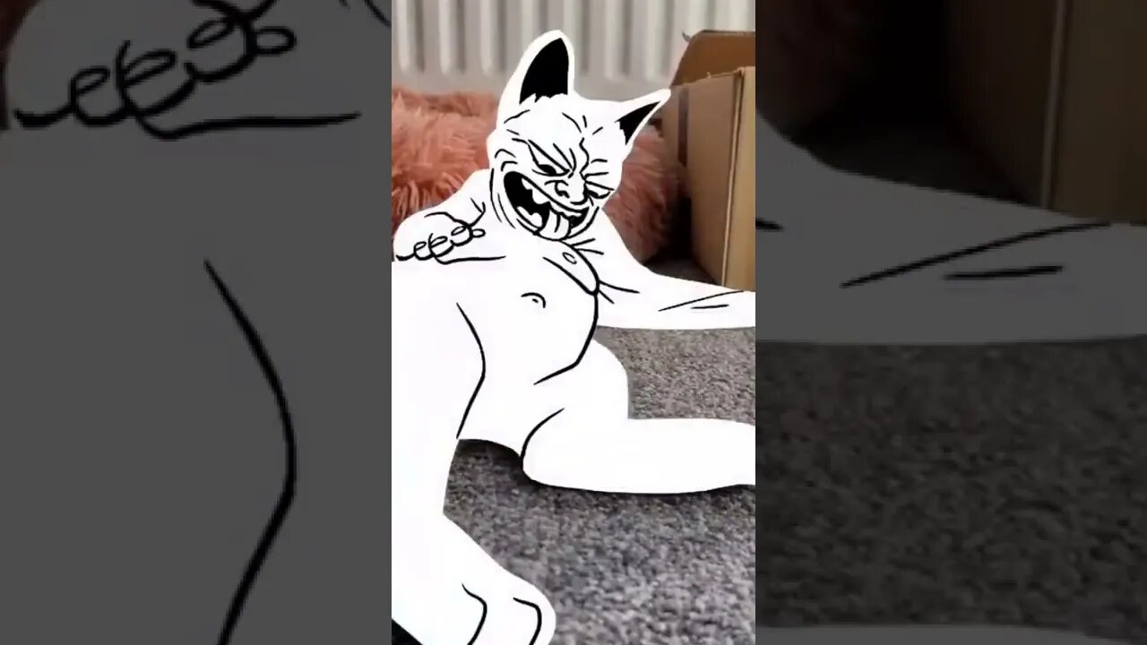 Funny Shorts Cats Video Memes#shorts #fyp #funny #cat