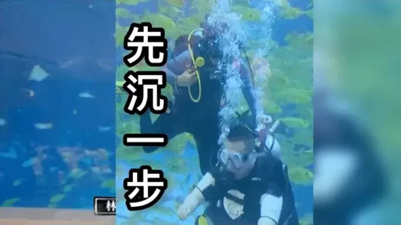 岳云鹏潜水沉底画面太好笑!网友调侃:谁让咱是重量级嘉宾来着