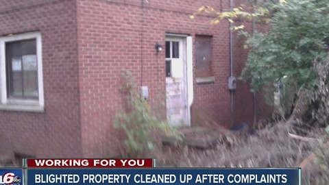 Blighted property cleaned up after complaints