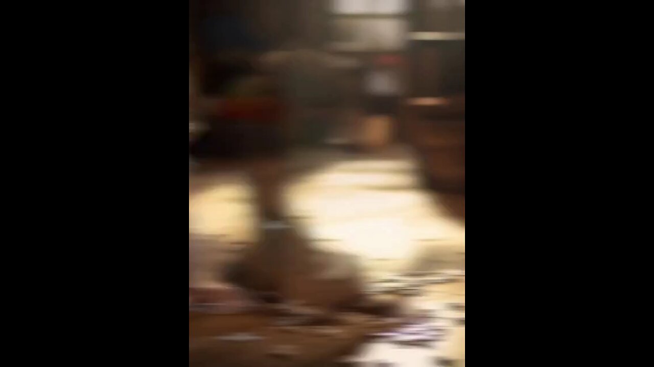 ai video that change everything