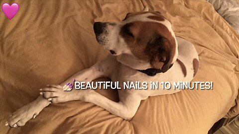 Fancy Pup Nails With Chalk Paint