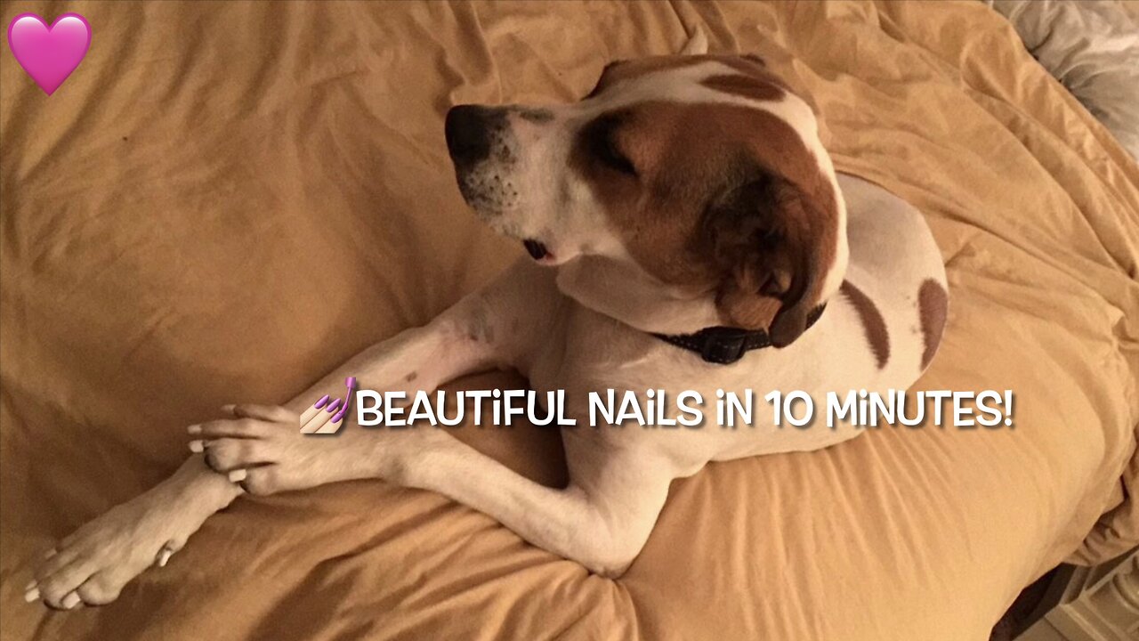 Fancy Pup Nails With Chalk Paint