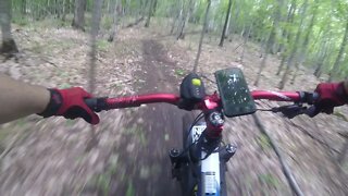 South Trail Rippin! ( Fatback Rhino )