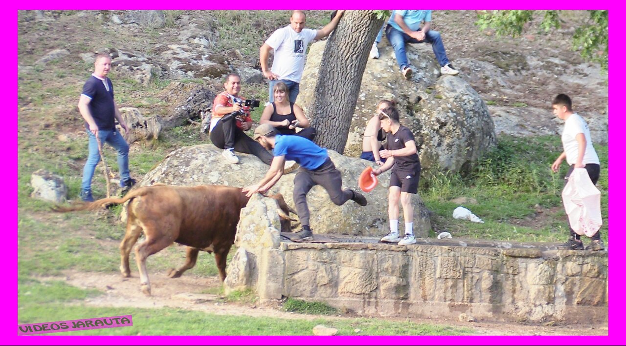 SORIA ( MONTE VALONSADERO ) TARDE LAVALENGUAS ( SABADO 10 JUNIO 2023 ) GANAD.LA CARDENILLA