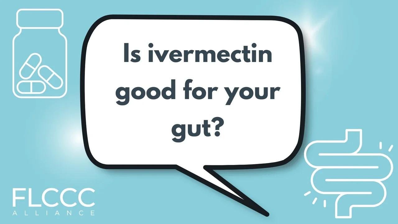 Is ivermectin good for your gut?